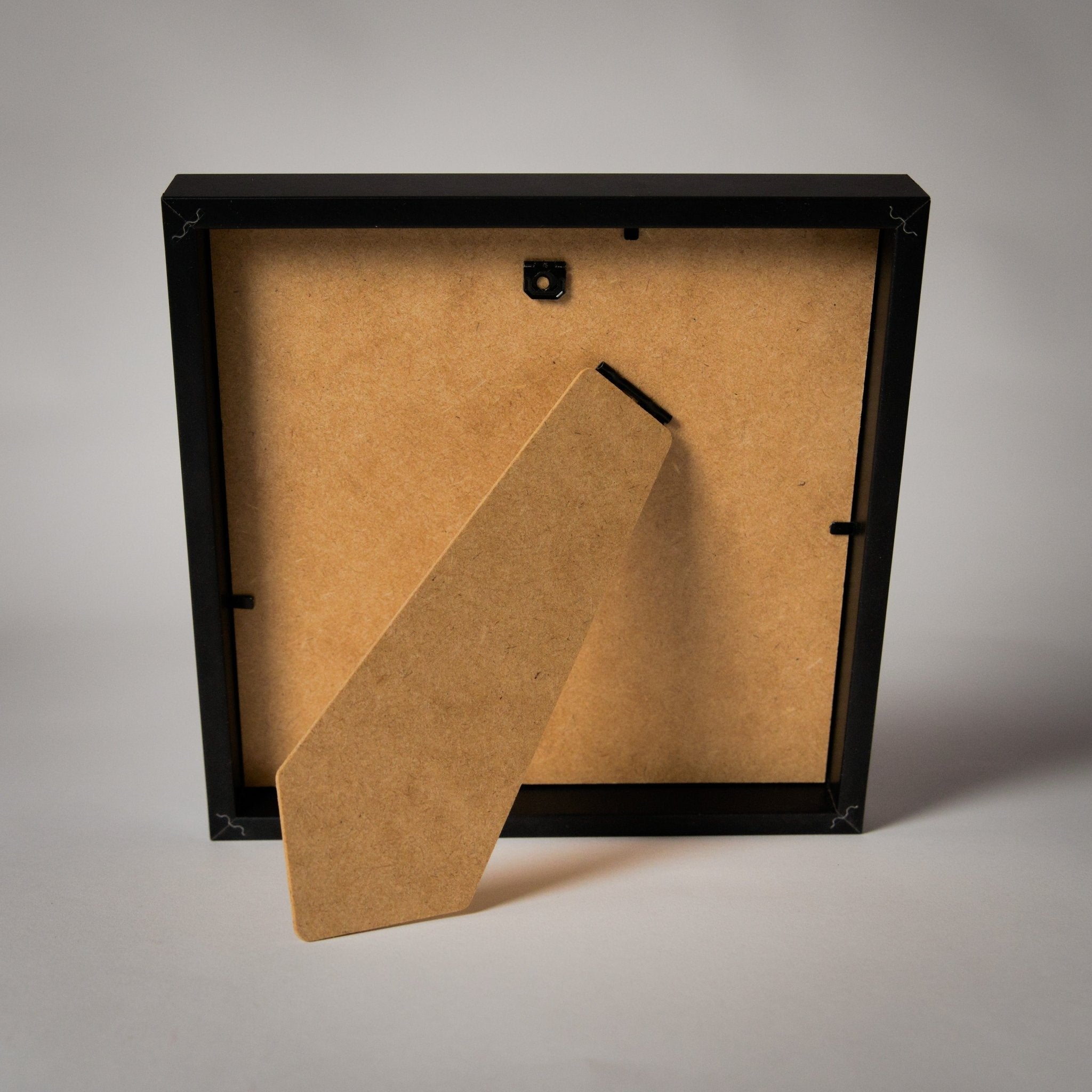 VALENCIA - CIUDAD DE LAS ARTES - City on Wall